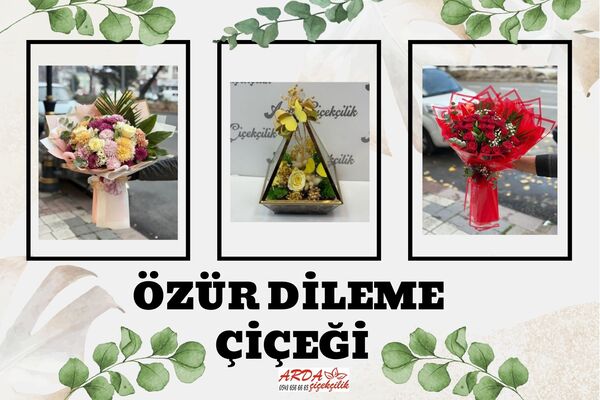 Özür Dileme Çiçekleri Kategorisi