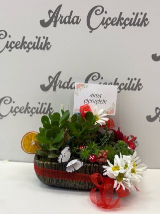 Dekoratif Sukulent ve Kaktüs Aranjmanı