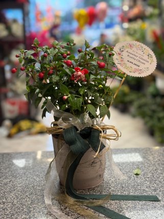 SERAMİKTE KÜPHELİ