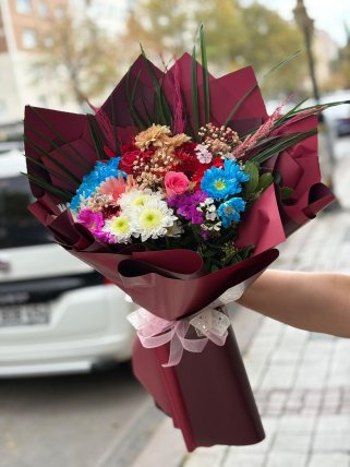 BORDO KIR ÇİÇEĞİ