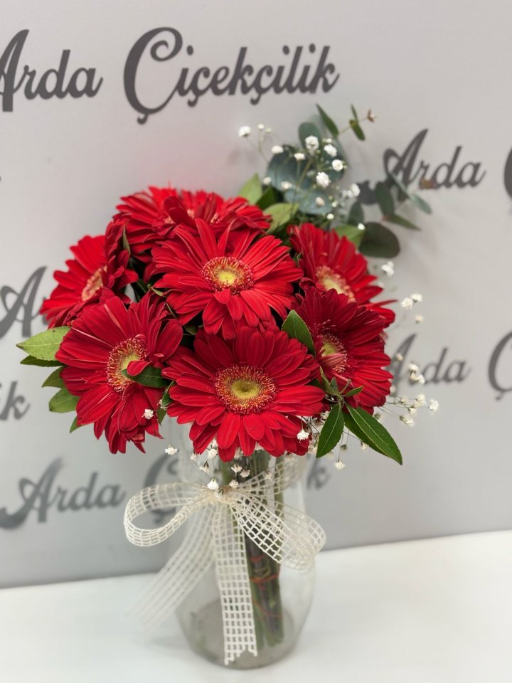 Vazoda Kırmızı Gerberalar