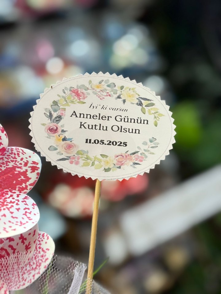 PEMBELİ DÜŞLER ORKİDE