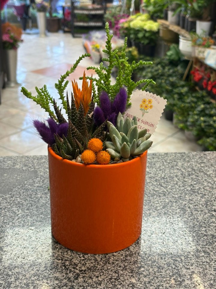 TURUNCU SERAMİKTE ARAJMAN 