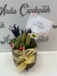 Çiçekçi - SUKULENT ARAJMAN 