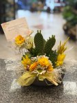 Çiçekçi - SARI SUKULENT ARAJMAN 