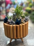 Çiçekçi - AHŞAP GÖRÜNÜMLÜ SUKULENT 